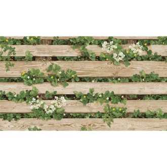 NATURAL 87020-2 TAPÉTA