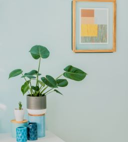 A megfelelő beltéri falfesték színek kiválasztása