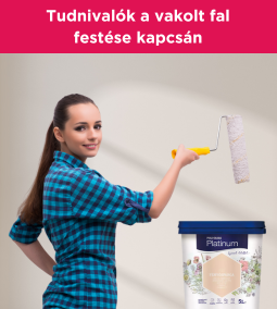 Tudnivalók a vakolt fal festése kapcsán