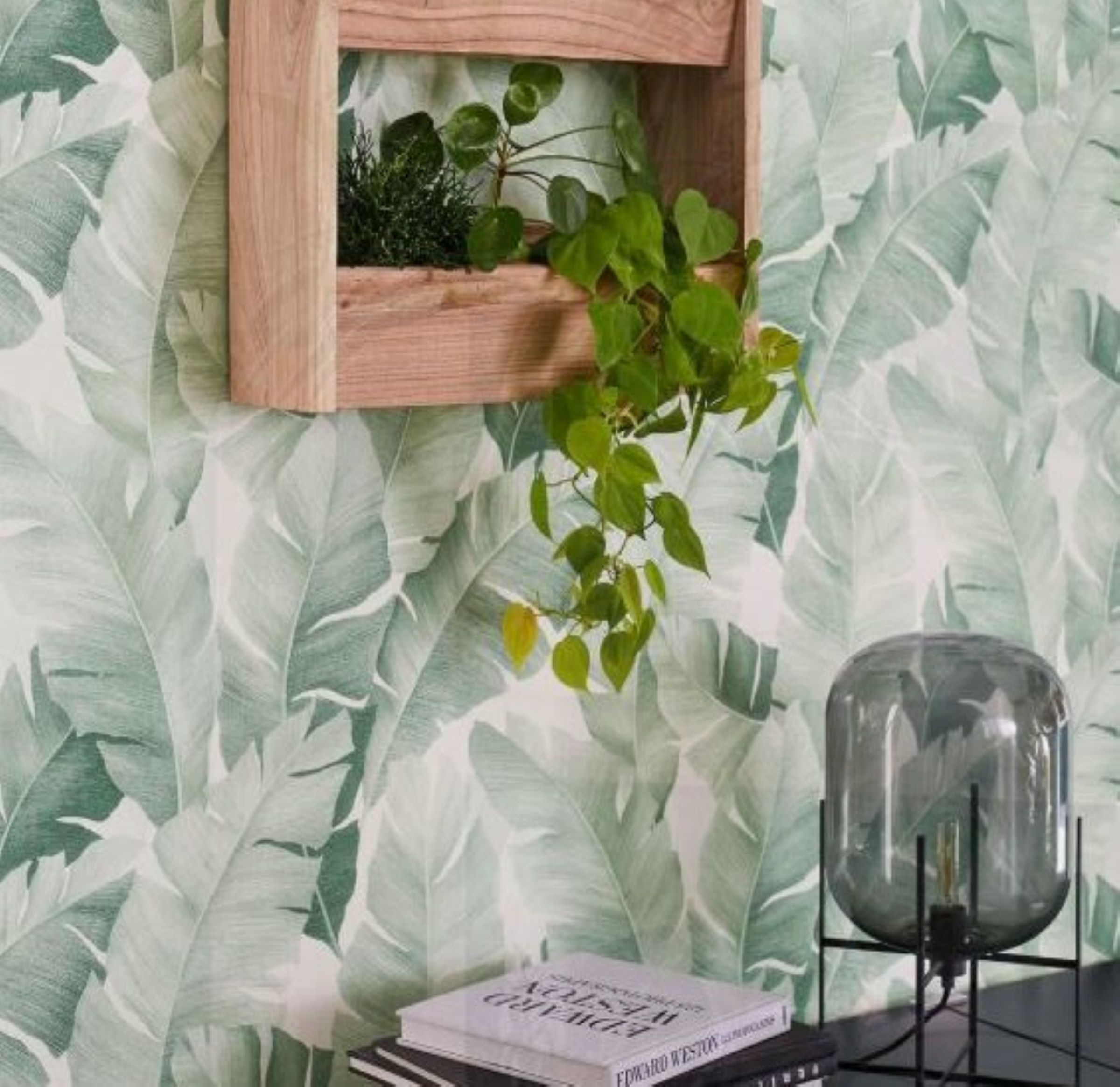  A vlies tapéták különlegessé varázsolják az otthonodat